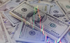 华安百联消费REIT:7月5日,公众发售部提前结束募集